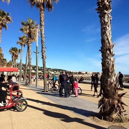 Apartamento 3 Pers. Avec Parking, A 450 M Des Plages - Fr-1-338-420